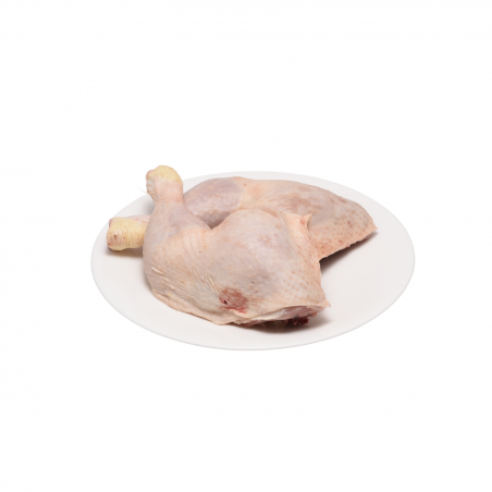 Groppone di  Pollo- Centro...