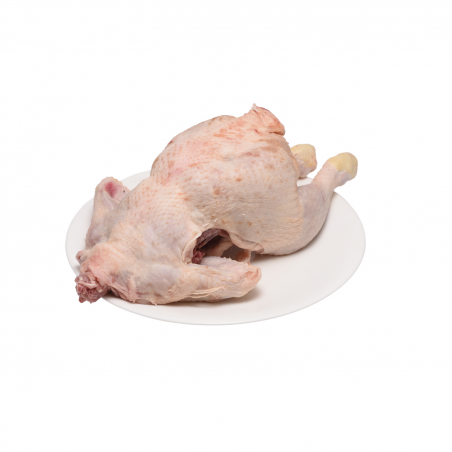 Pollo senza Petto -Centro...