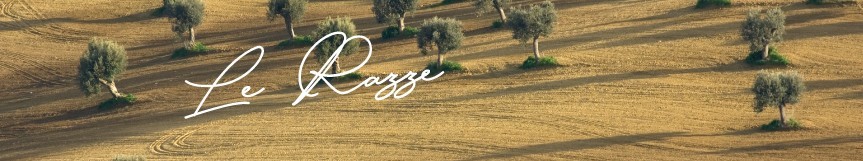 Razze ed Incroci